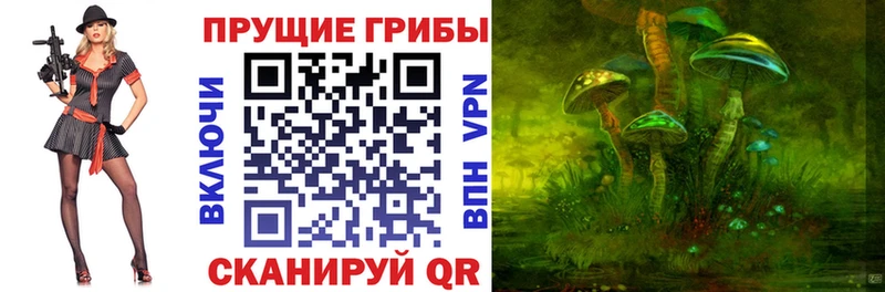 как найти закладки  площадка наркотические препараты  Галлюциногенные грибы Psilocybine cubensis  Нерчинск 